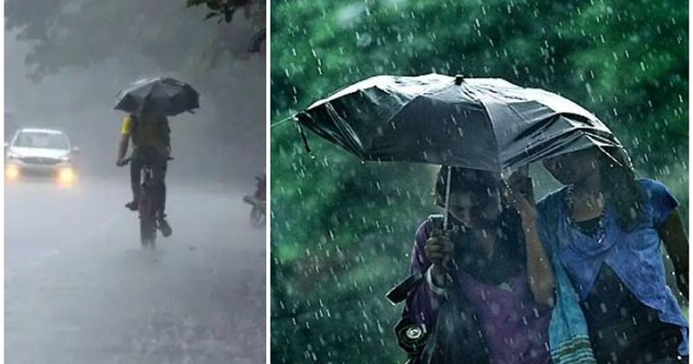 Kerala Rain : അഞ്ച് ദിവസം വ്യാപക മഴ; വിവിധ ജില്ലകളില്‍ ഓറഞ്ച്, യെല്ലോ അലേര്‍ട്ട്, ജാഗ്രതാ മുന്നറിയിപ്പ്